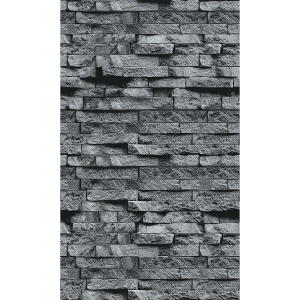 faspan_grey-1008_vert_1200-800-8